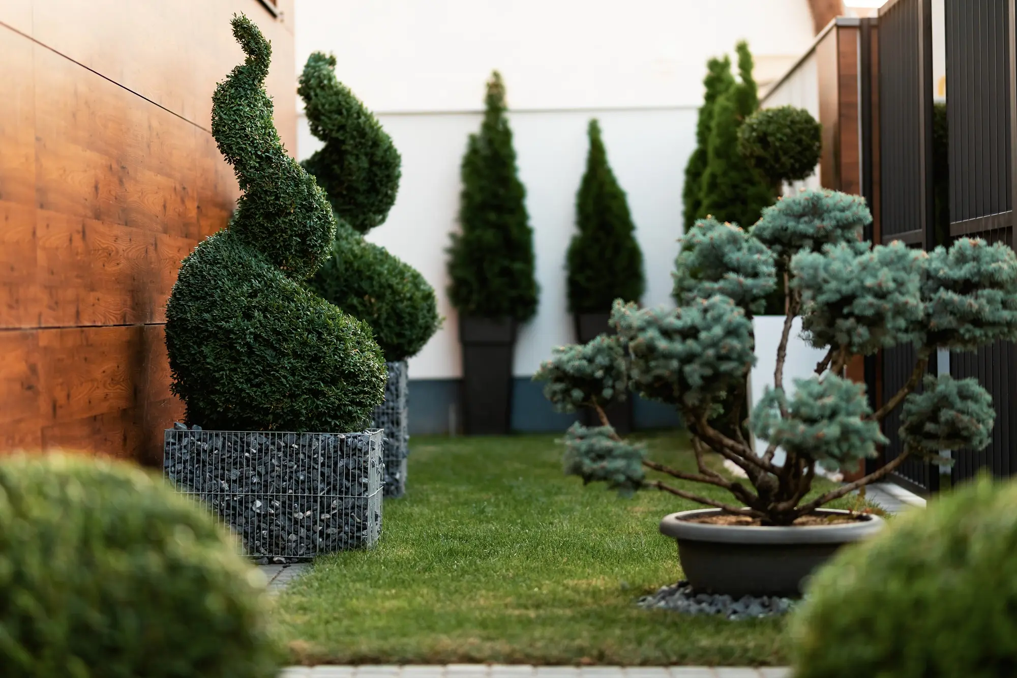 modern-garden-with-spiral-topiary-greenery-2026-03-16-03-30-42-utc.webp