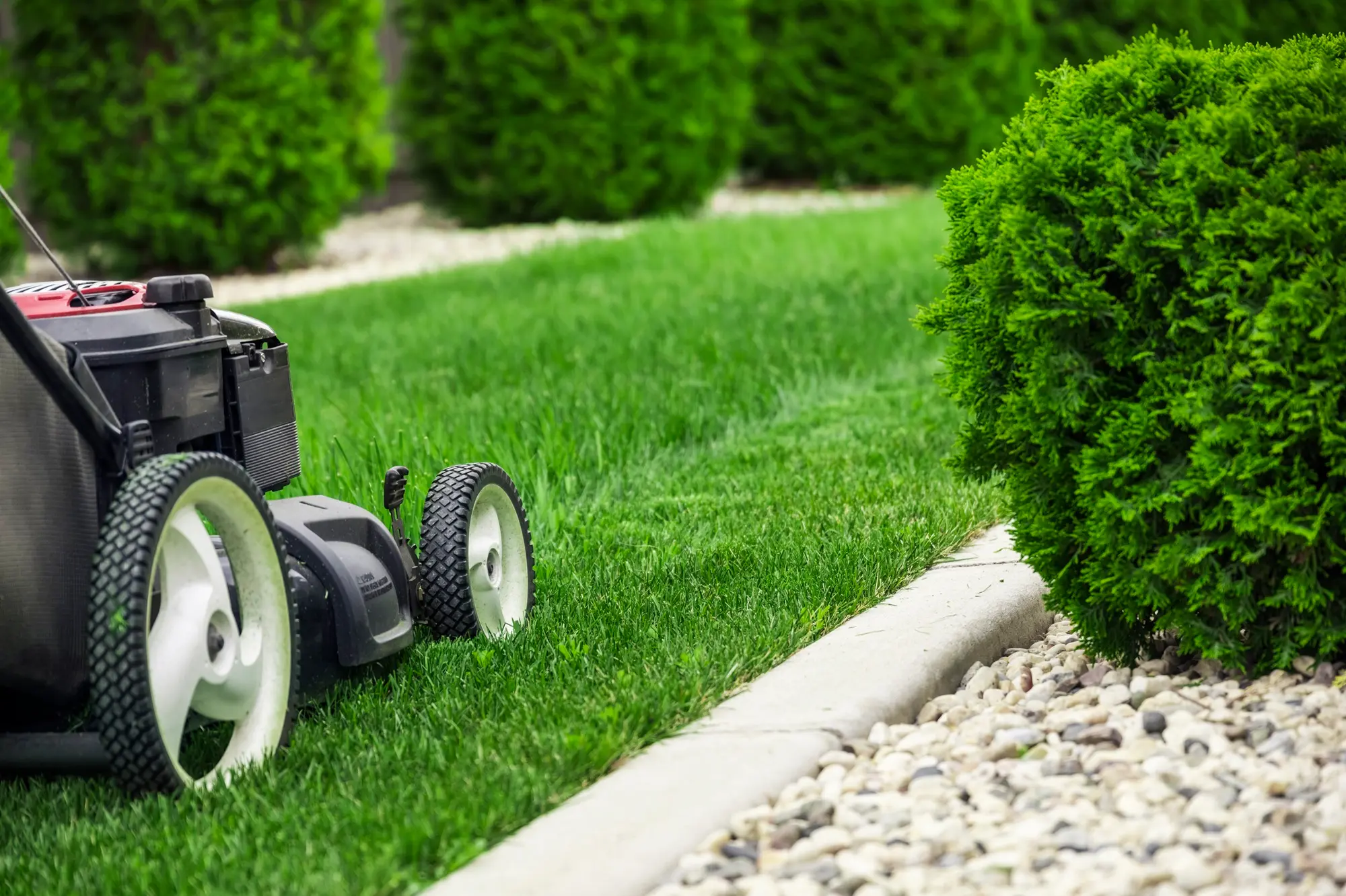 mowing-lawn-in-suburban-yard-with-green-bushes-2026-03-18-04-28-33-utc.webp