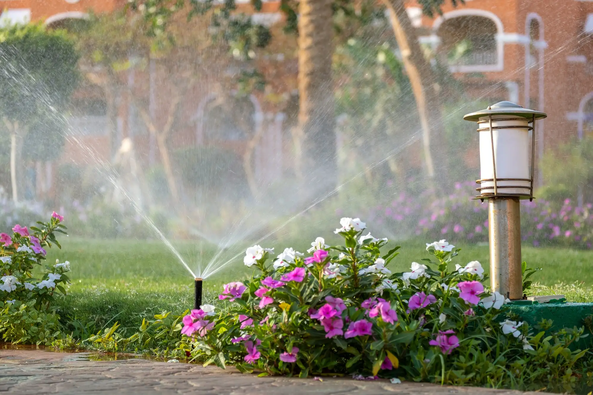 plastic-sprinkler-irrigating-flower-bed-on-grass-l-2026-03-16-04-26-13-utc.webp